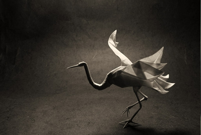 Elegant Crane
